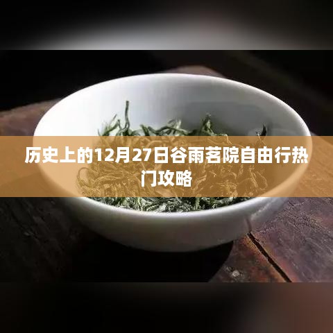 faguibixing 第2页