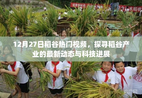探寻稻谷产业最新动态与科技进展，热门视频解析