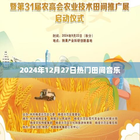 2025年田间音乐盛宴，聆听最热流行之声