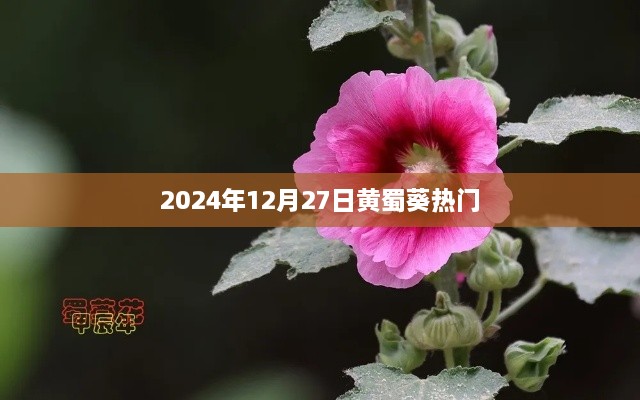 yixinyiyi 第2页