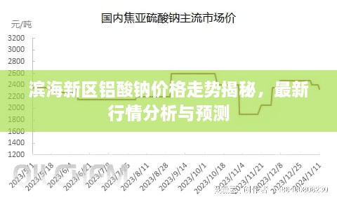 滨海新区铝酸钠价格走势揭秘，最新行情分析与预测