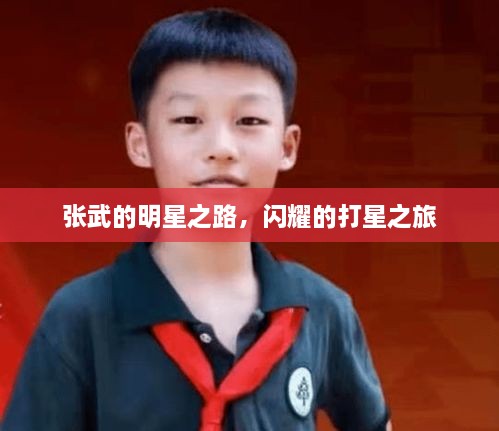张武的明星之路，闪耀的打星之旅