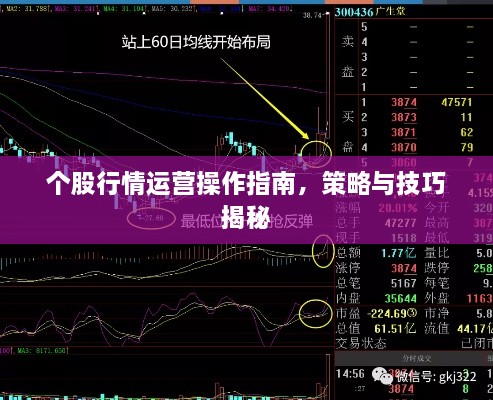 个股行情运营操作指南，策略与技巧揭秘