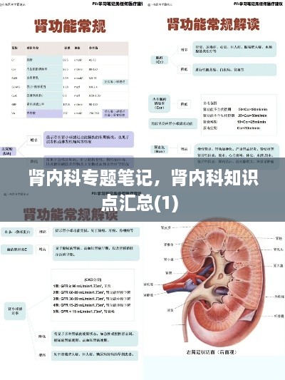肾内科专题笔记，肾内科知识点汇总(1) 