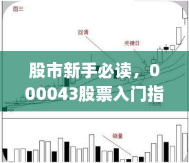 股市新手必读，000043股票入门指南全解析
