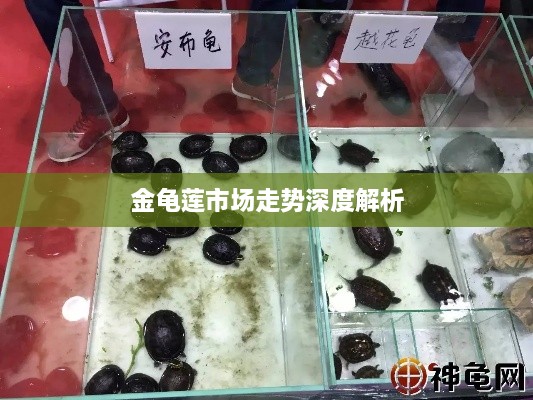 bufeizeyi 第2页