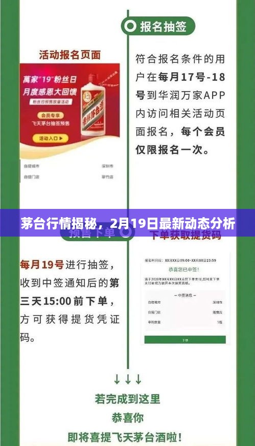 茅台行情揭秘，2月19日最新动态分析