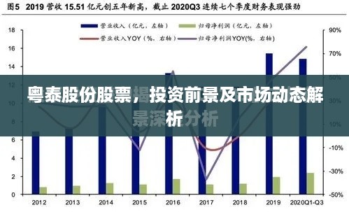 粤泰股份股票，投资前景及市场动态解析