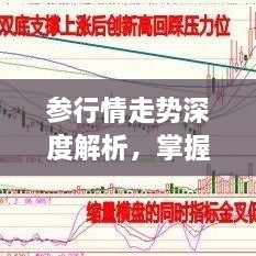 参行情走势深度解析，掌握行情动态，洞悉未来趋势