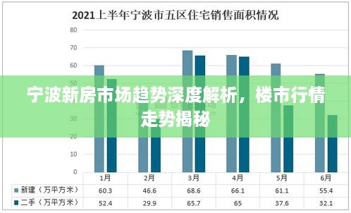 shoushuliangduan 第2页