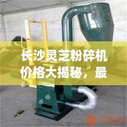 yarenyunshi 第2页