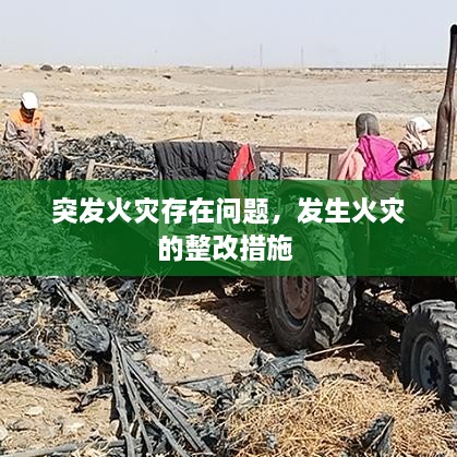 pishajianjin 第2页