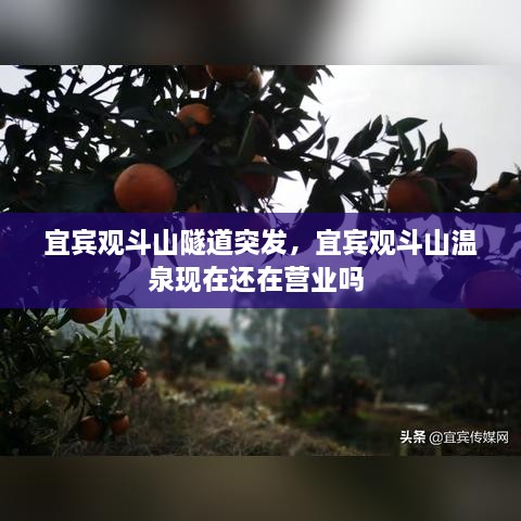 xinbuzaiyan 第2页