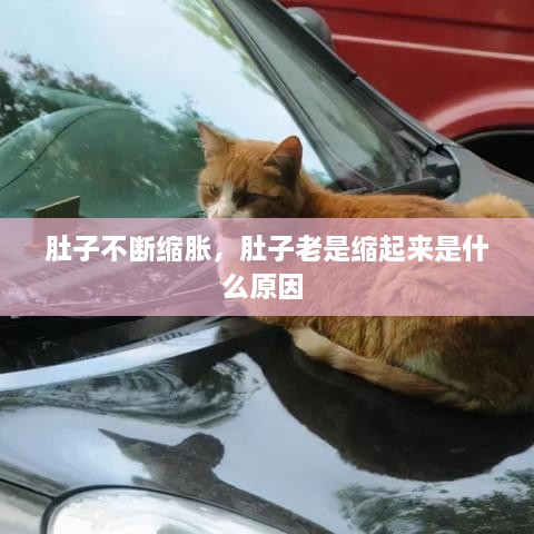 banxinbujiu 第2页