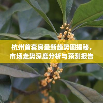管窥蛙见 第2页