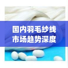 shijinbumei 第2页