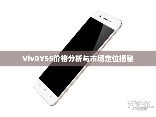 Viv0Y55价格分析与市场定位揭秘