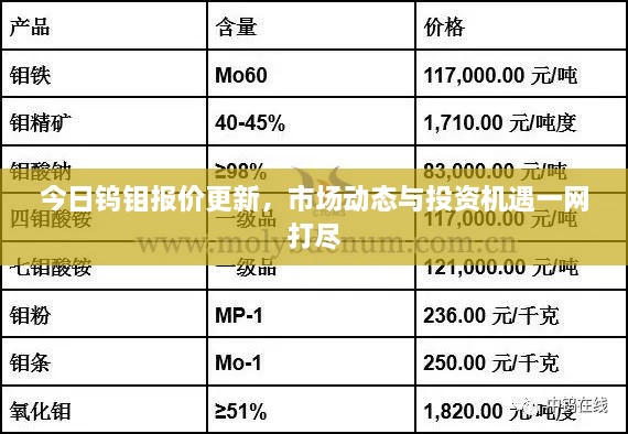 今日钨钼报价更新，市场动态与投资机遇一网打尽