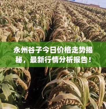 百灵鸟 第122页