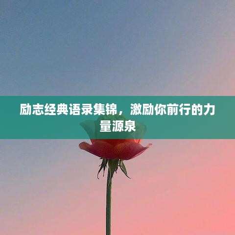 meimuruhua 第2页