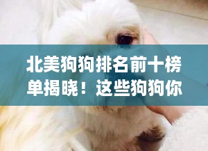 jingyiqiujing 第2页