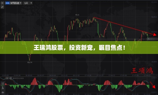tongxiaodadan 第2页