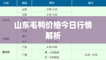 山东毛鸭价格今日行情解析
