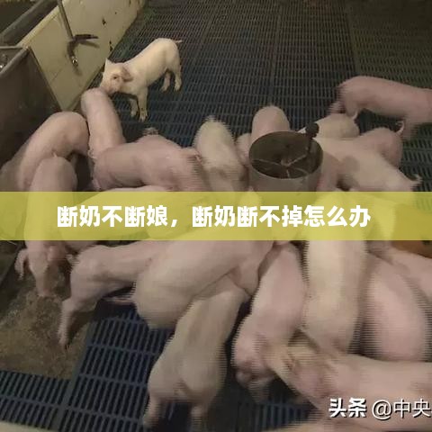 水静河飞 第2页