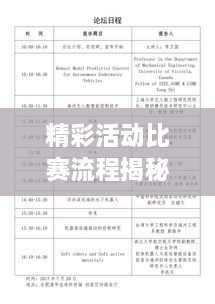 精彩活动比赛流程揭秘，不容错过！