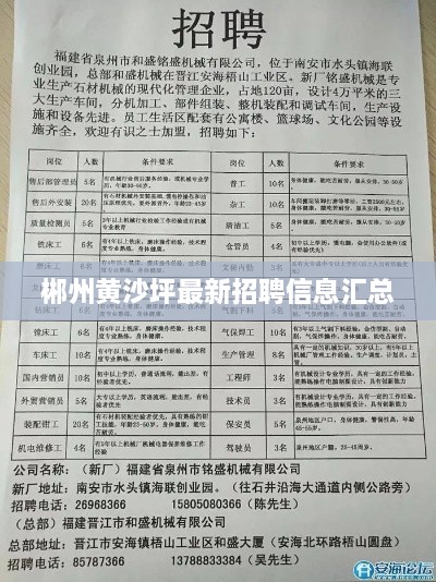 郴州黄沙坪最新招聘信息汇总