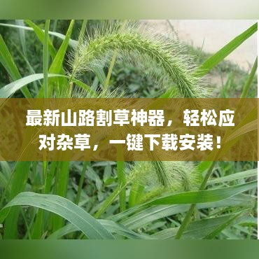 liangbuwaming 第2页