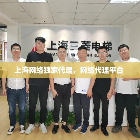 上海网络独家代理，网络代理平台 