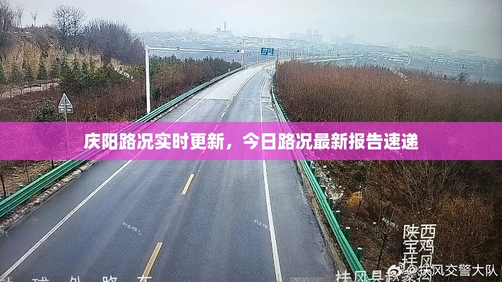 zhangyawuzhua 第2页