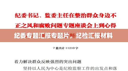 纪委专题汇报专题片，纪检汇报材料 