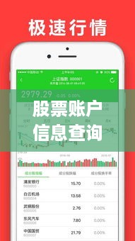 股票账户信息查询一站式攻略，全面指南助你轻松掌握！
