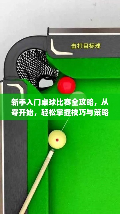huachengmijiu 第2页