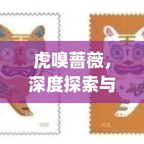 虎嗅蔷薇，深度探索与细腻品味的独特魅力