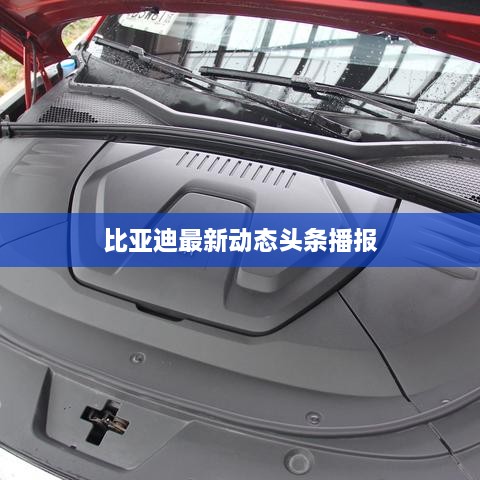 比亚迪最新动态头条播报