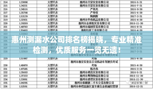 惠州测漏水公司排名榜揭晓，专业精准检测，优质服务一览无遗！