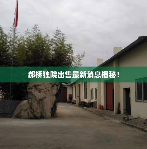 郝桥独院出售最新消息揭秘！