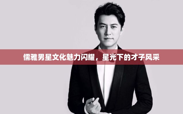 儒雅男星文化魅力闪耀，星光下的才子风采