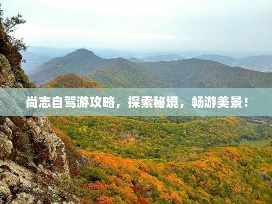 gaixiangengzhang 第2页