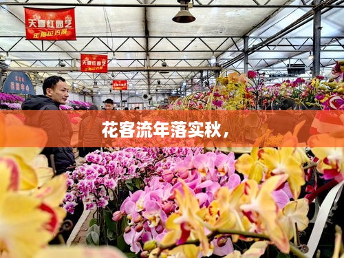 花客流年落实秋， 