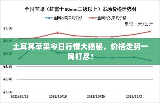 土耳其苹果今日行情大揭秘，价格走势一网打尽！