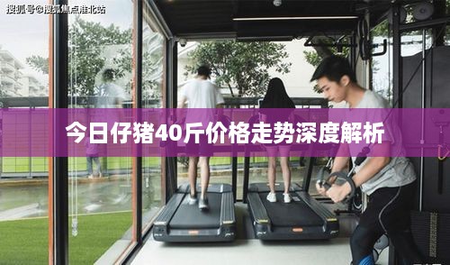 就棍打腿 第2页