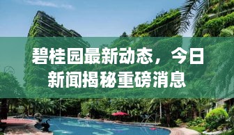 碧桂园最新动态，今日新闻揭秘重磅消息