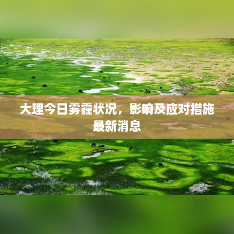大理今日雾霾状况，影响及应对措施最新消息