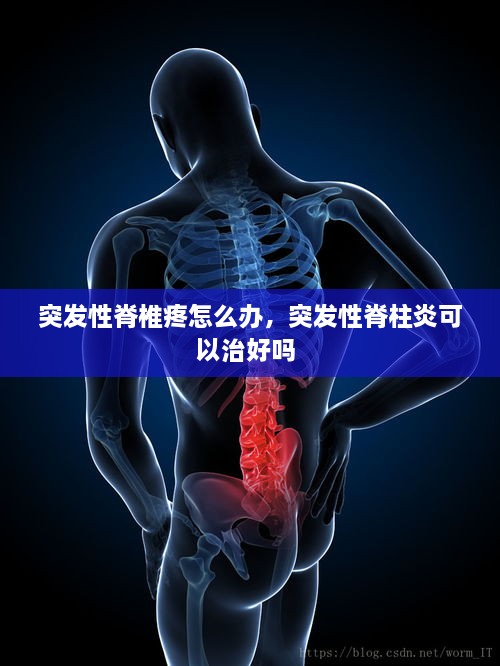 优惠券 第83页