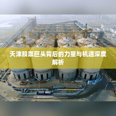 天津股票巨头背后的力量与机遇深度解析