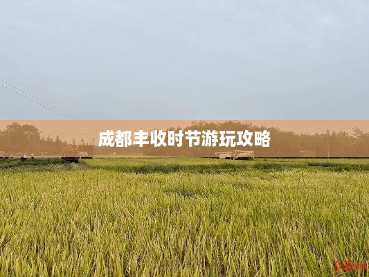 成都丰收时节游玩攻略